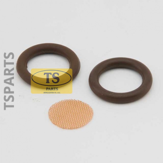 Repair kit (gaskets and mesh) fuel pump Thermo S / Thermo E WEBASTO-TS