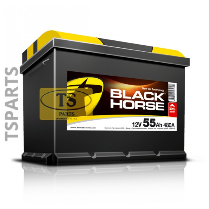 BLACK HORCE 12V BLACK HORCE